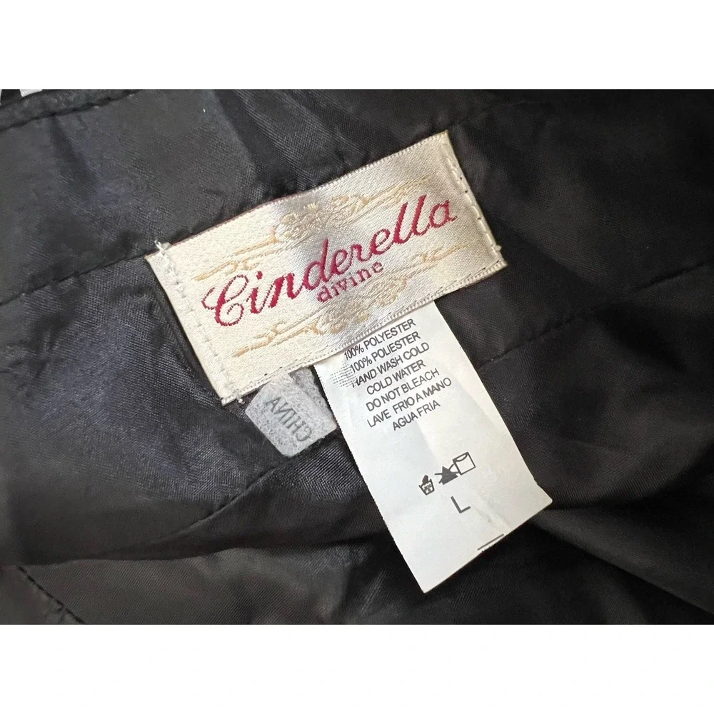 Cinderella Y2K Strapless Zebra Print Cocktail Dress Size L Jr. Whimsigoth HOCO - Picture 2 of 9